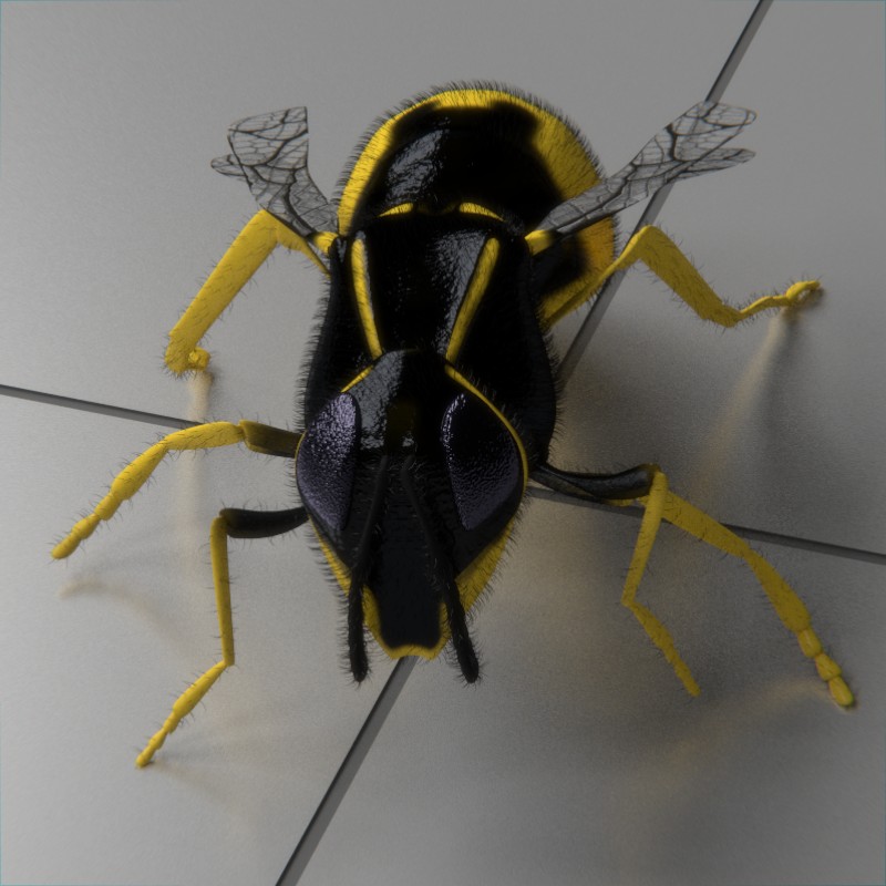 wasp animated preview image 3